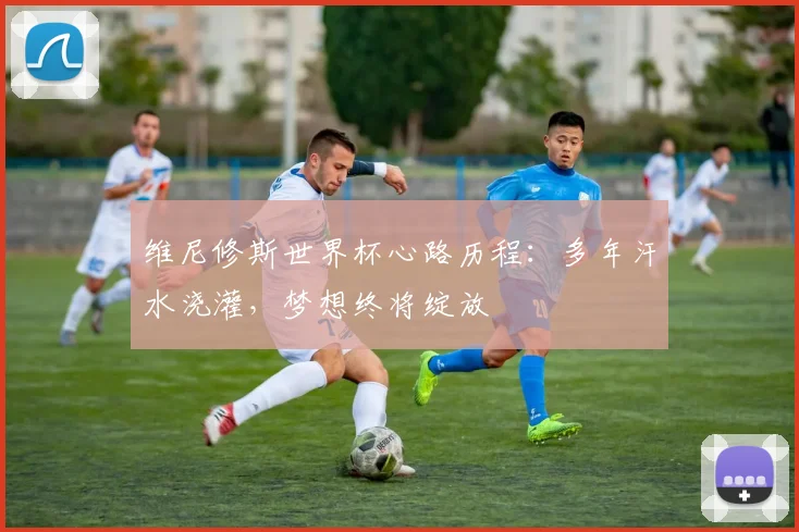 维尼修斯世界杯心路历程:多年汗水浇灌,梦想终将绽放