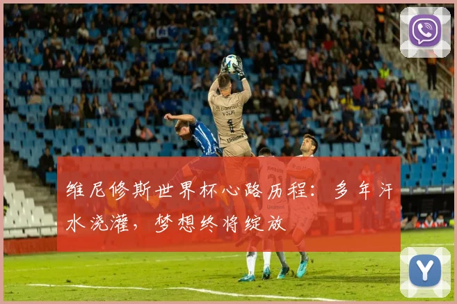 维尼修斯世界杯心路历程:多年汗水浇灌,梦想终将绽放