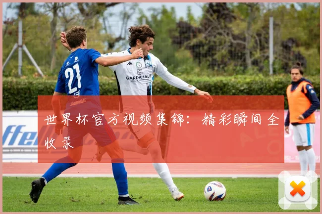 世界杯官方视频集锦:精彩瞬间全收录