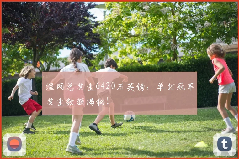 温网总奖金6420万英镑,单打冠军奖金数额揭秘!